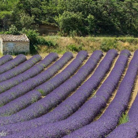 Gite Marius Mirabel-aux-Baronnies Bagian luar foto