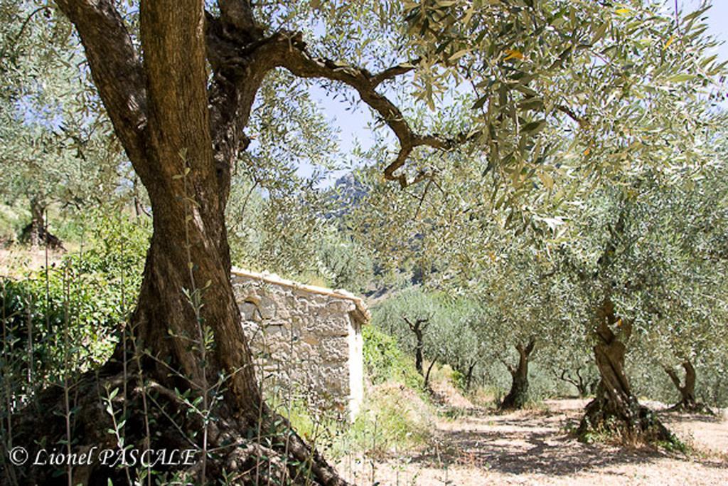 Gite Marius Mirabel-aux-Baronnies Bagian luar foto